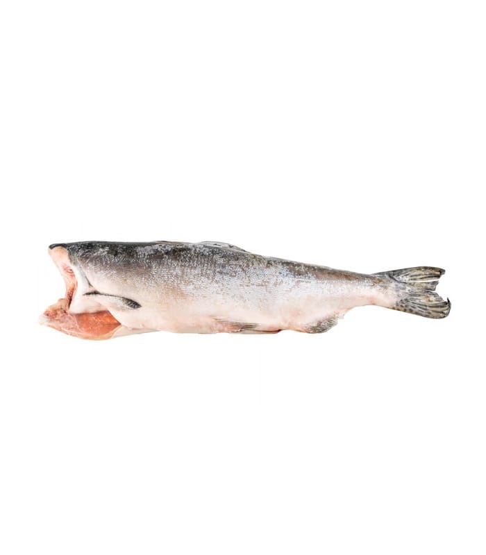 vg-sf-frzf-4.jpg Lignje, smrznuto - Slika 1